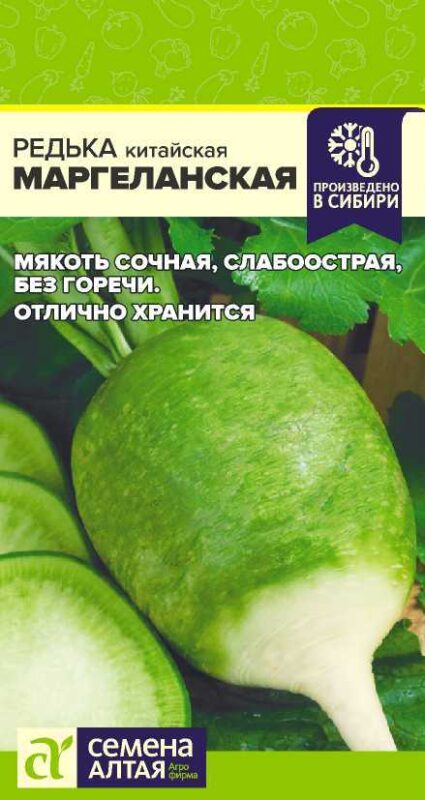 Редька китайская Маргеланская