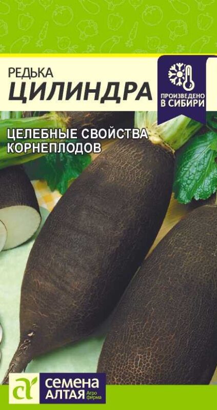 Редька Цилиндра